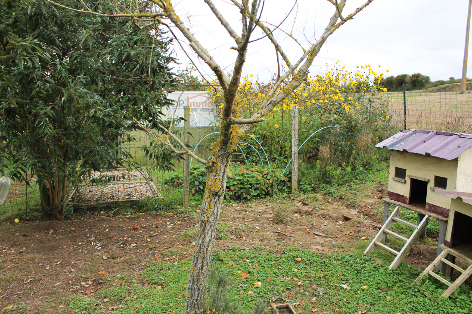 Image_, Maison, Maintenay, ref :2258