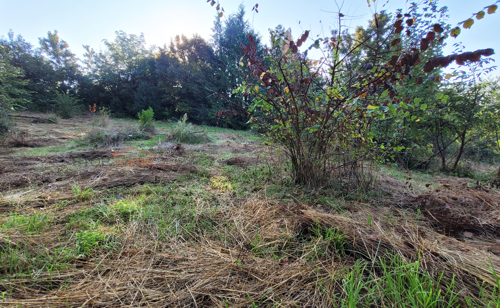 Image_, Terrain à batir, Marles-sur-Canche, ref :2592